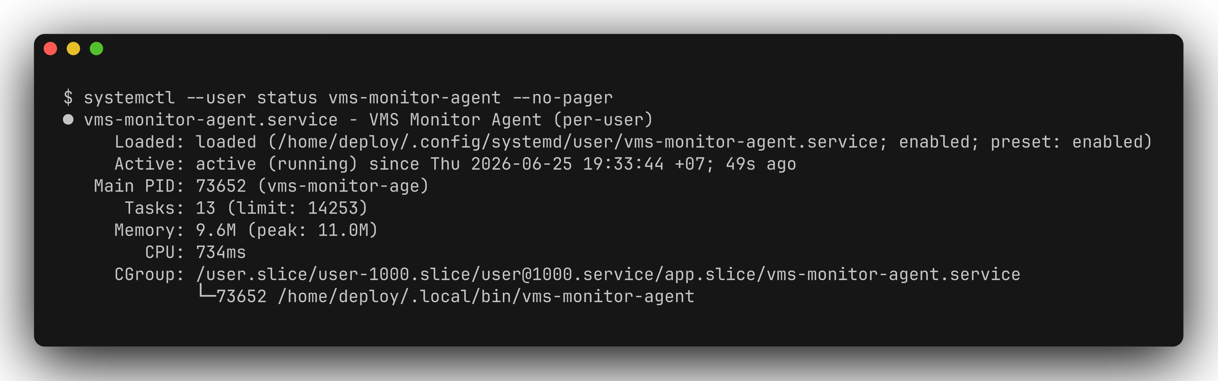vms-monitor-agent service active and running