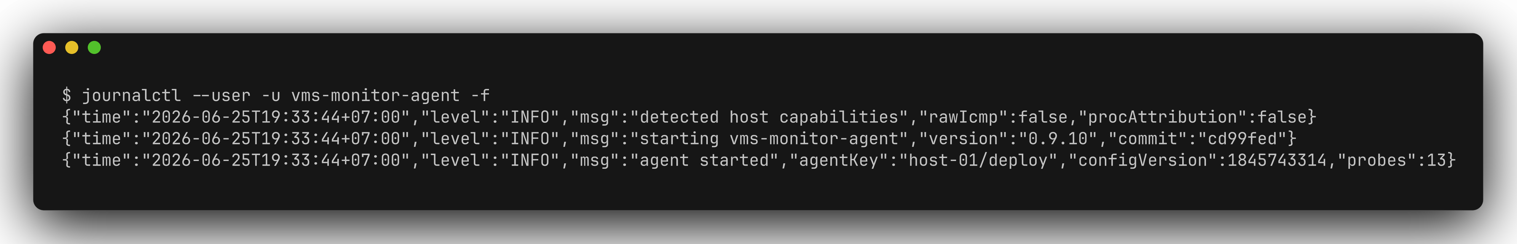 JSON "agent started" log on Linux
