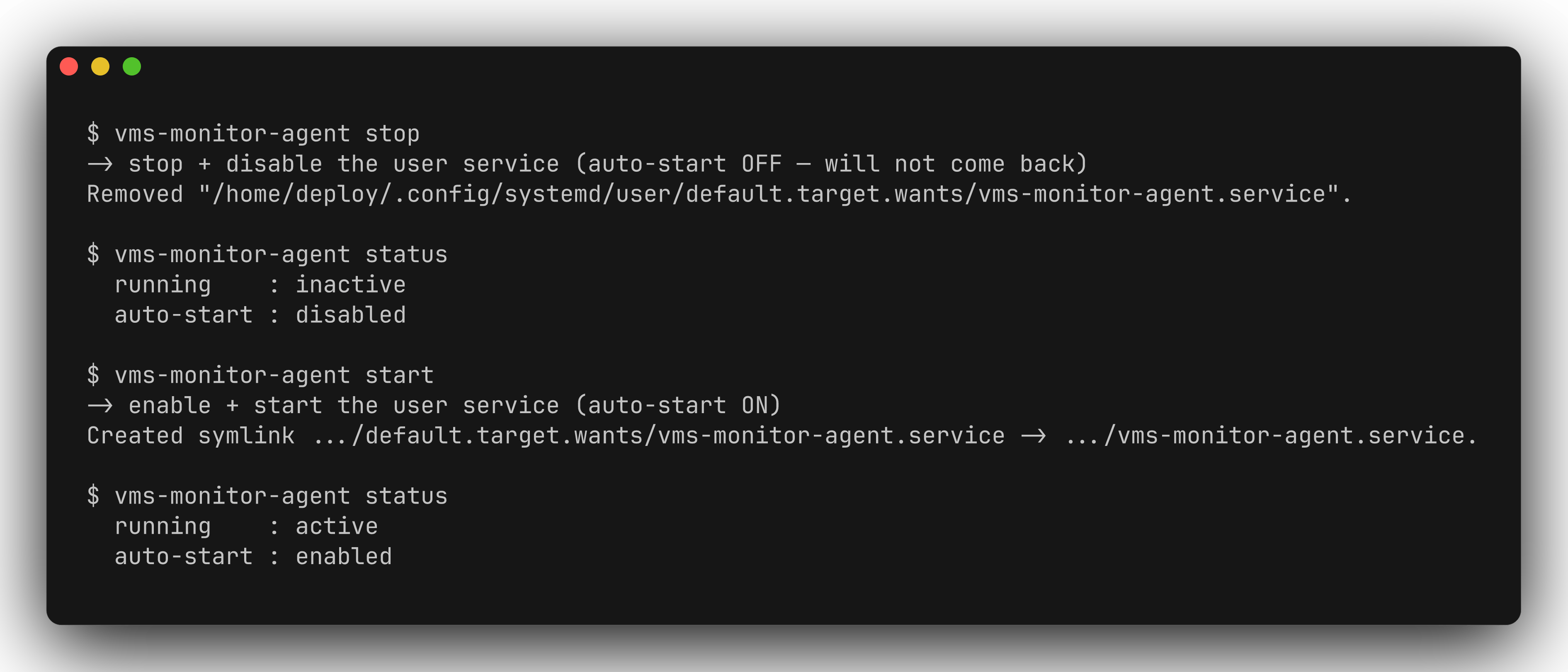 Agent stop and start lifecycle