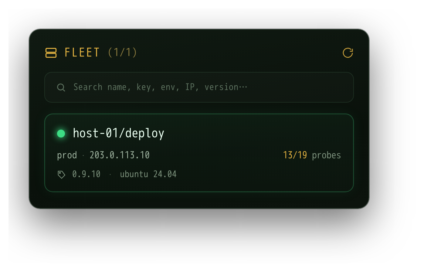 Agent online in the FLEET panel on the Dashboard