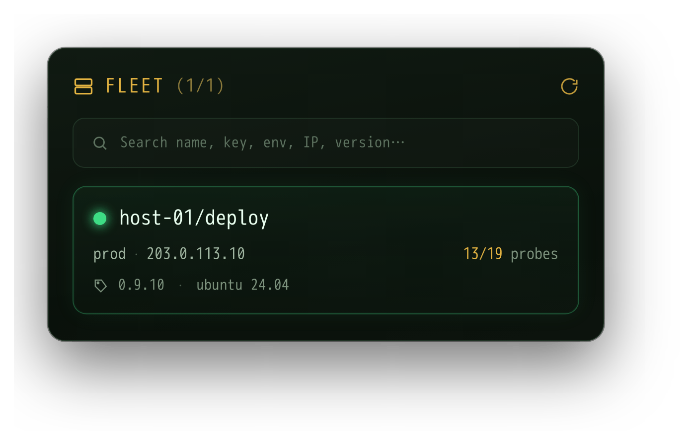 Agent online in the FLEET panel on the Dashboard