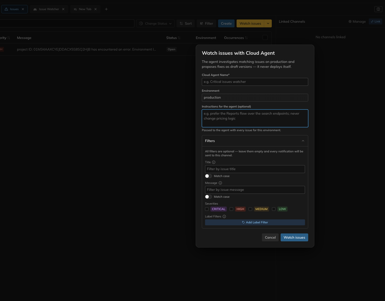 The Watch issues dialog showing name, environment, instructions and filters