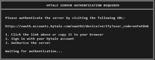 First authorization URL in console