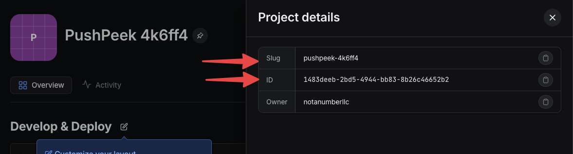 Expo project details showing Slug and ID with arrows