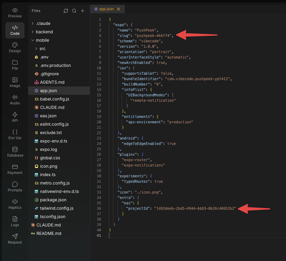 Vibecode showing the configured app.json with slug, project ID and push notification settings