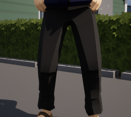 FIB Pants
