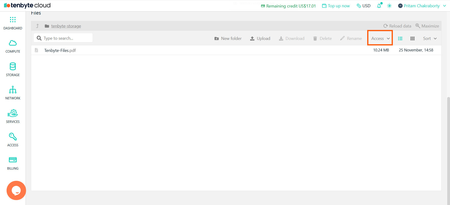 File Access Controls