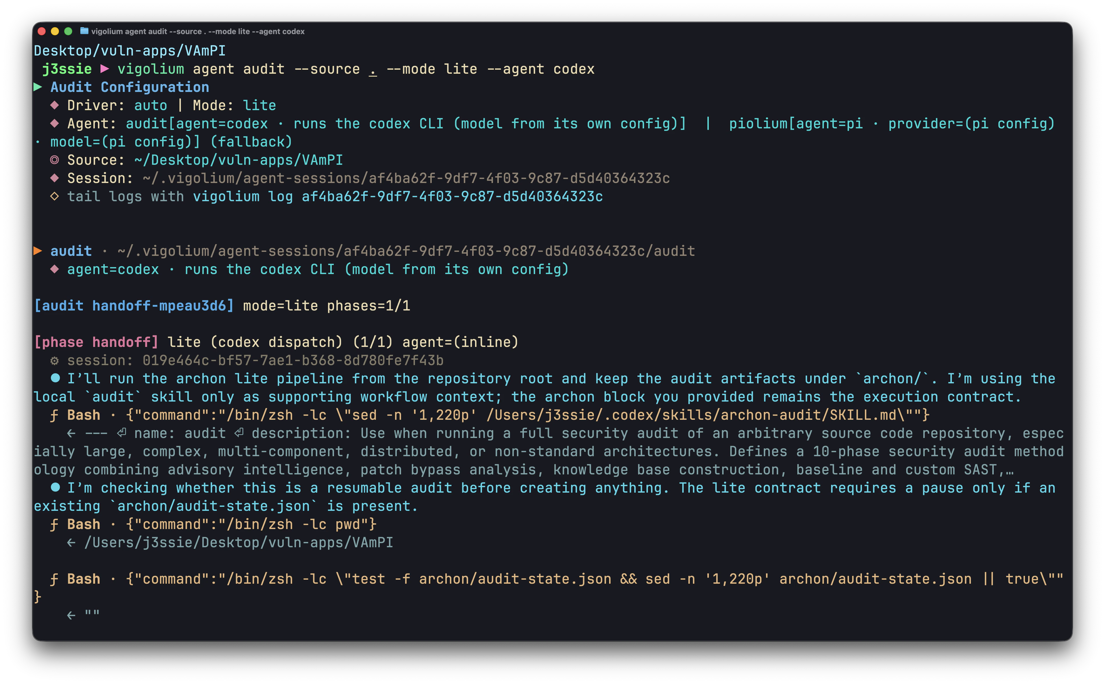 vigolium agent audit running in the terminal