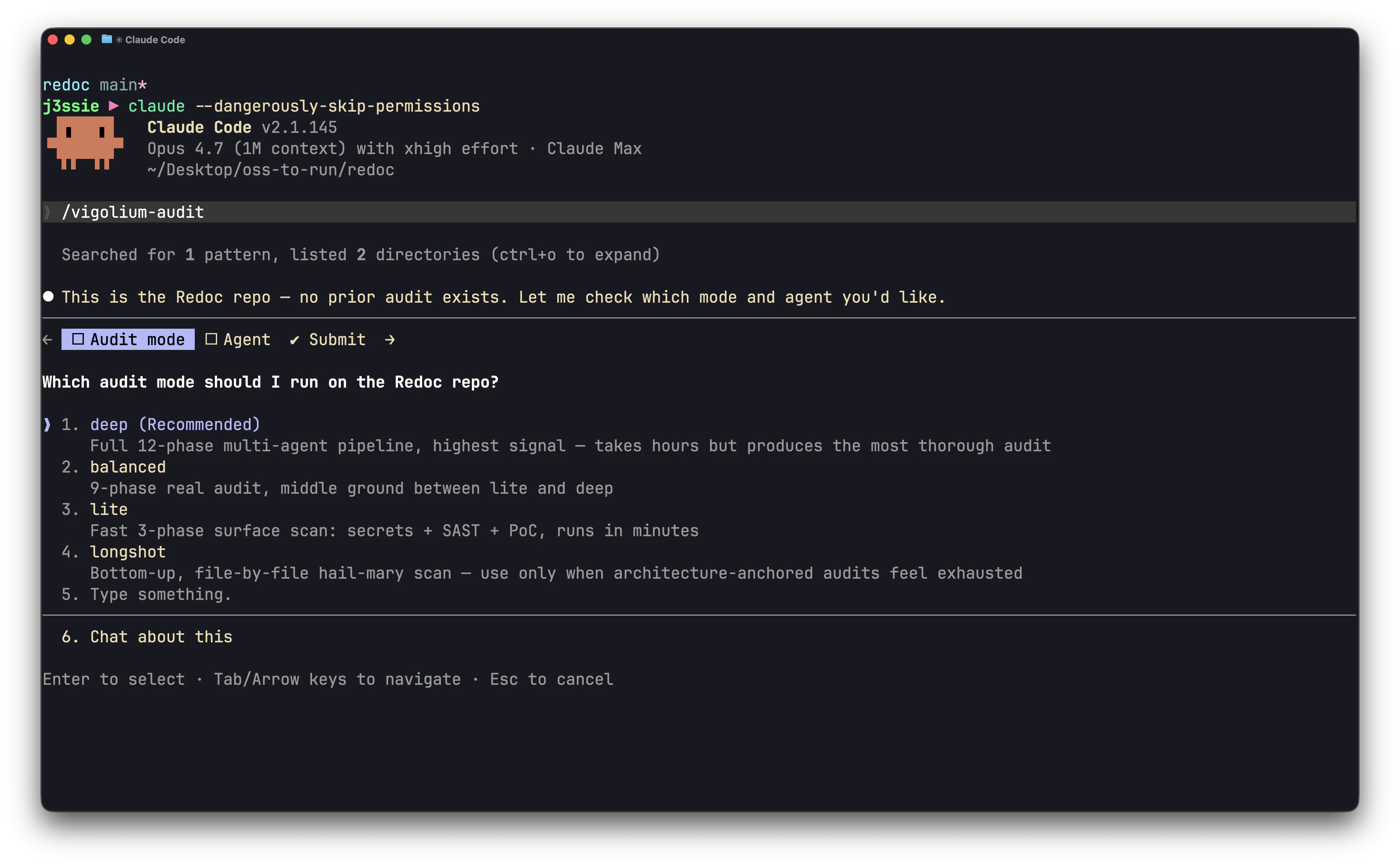 vigolium-audit running through the Claude CLI