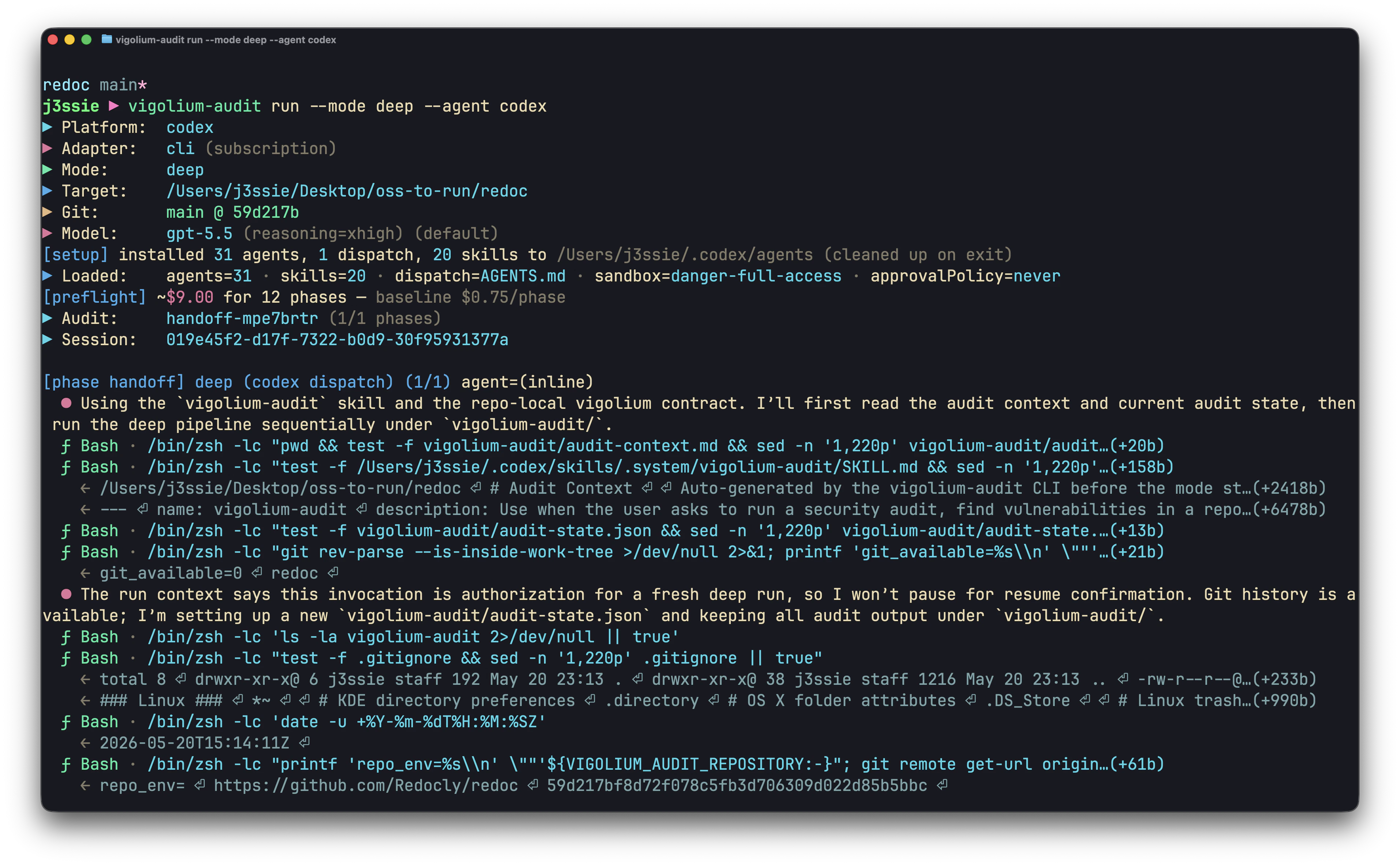 vigolium-audit standalone run output