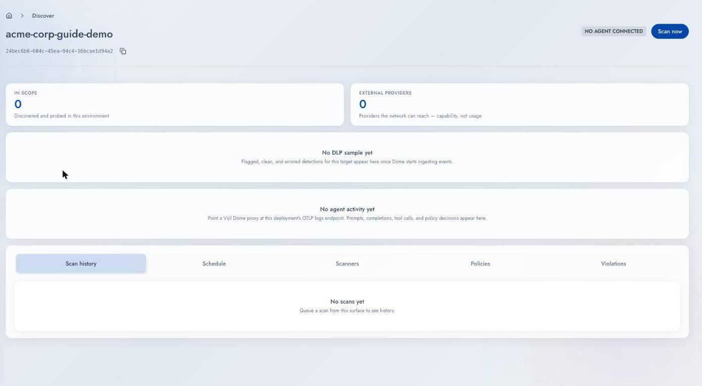 A Target detail page on day zero showing zero in scope, zero external providers, and no scan history