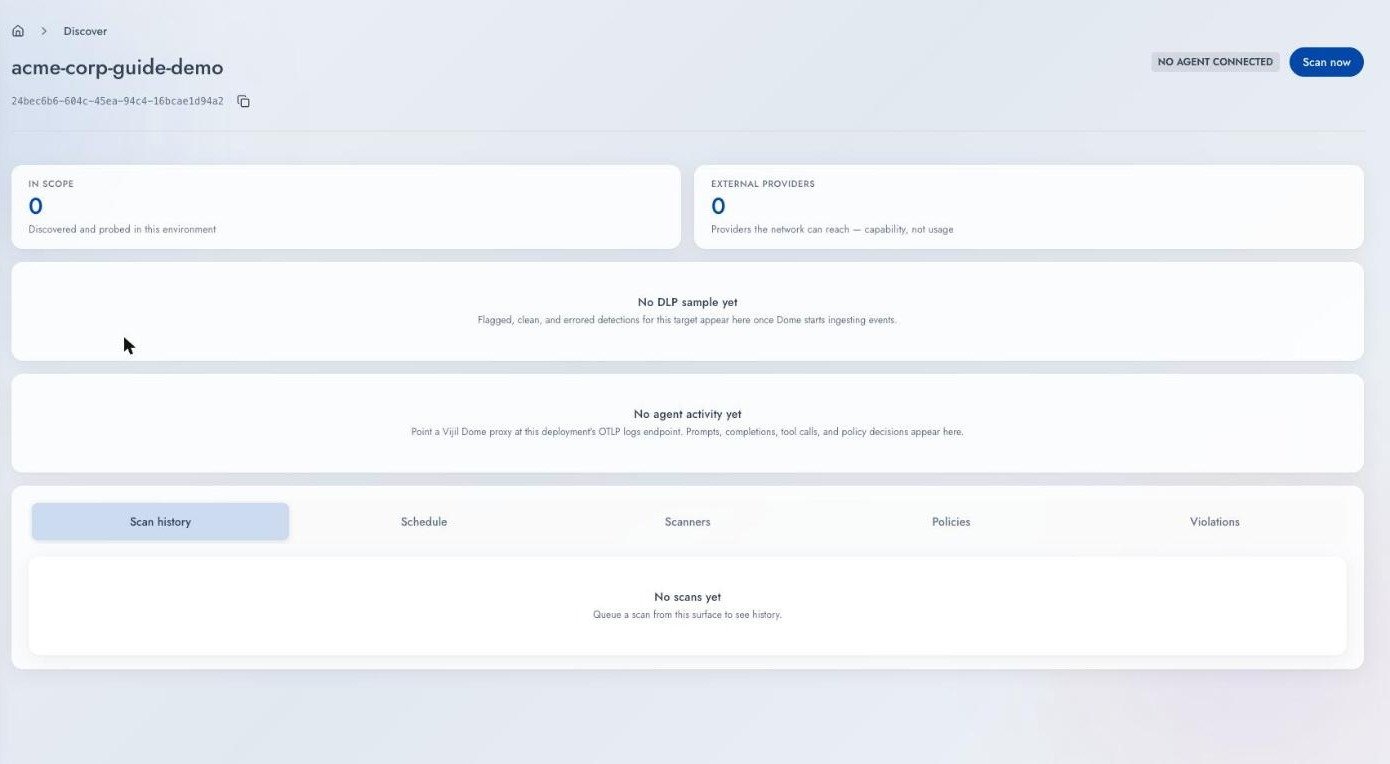 A Target detail page on day zero showing zero in scope, zero external providers, and no scan history