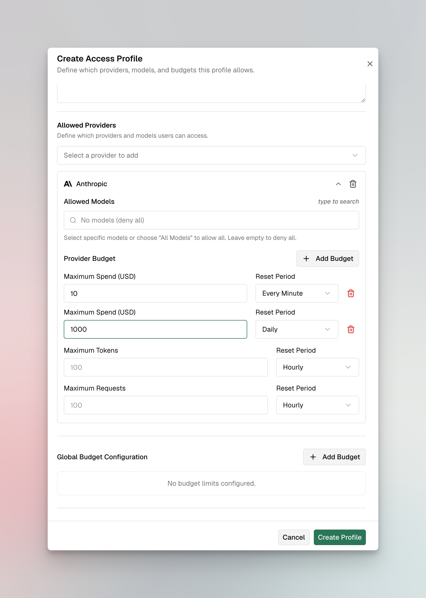 Access Profiles list page with table columns and create button