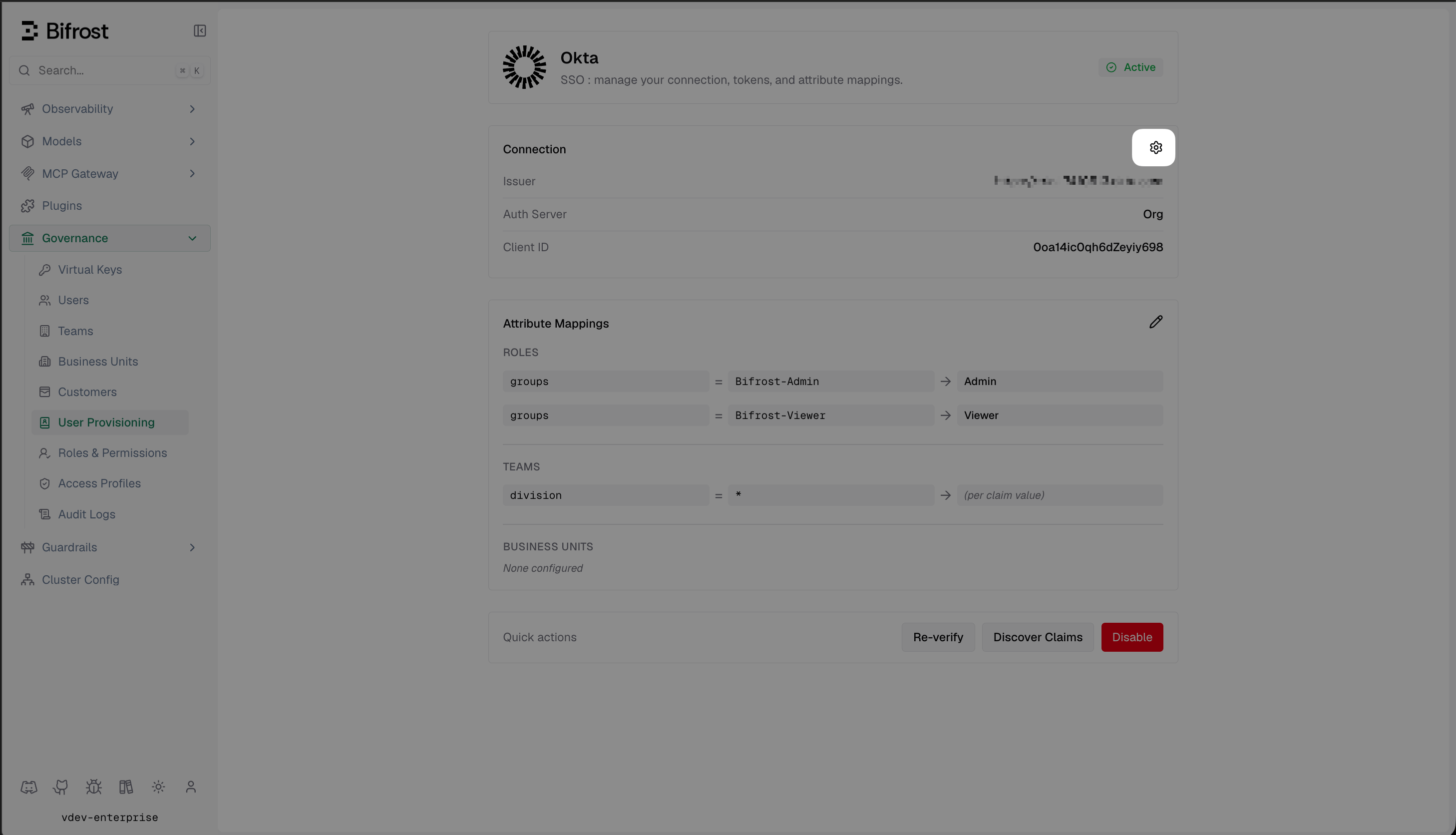 Vikat Okta provider dashboard showing connection details and attribute mappings