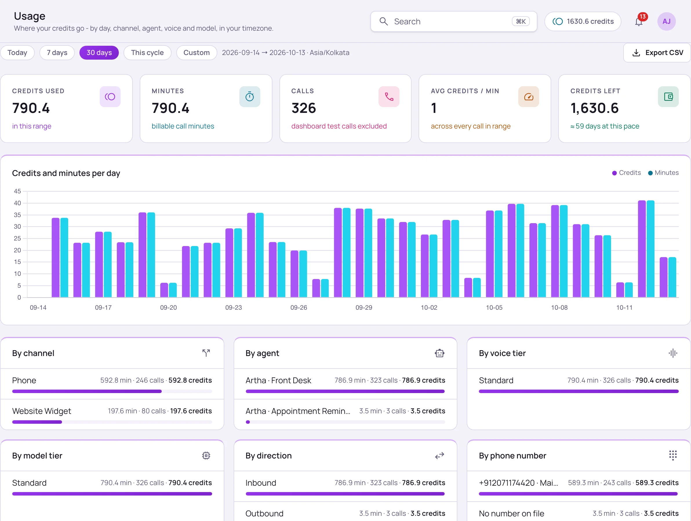 Usage page with date range chips, credits used, minutes, calls, average credits per minute and credits left tiles, a daily bar chart of credits and minutes, and breakdown cards