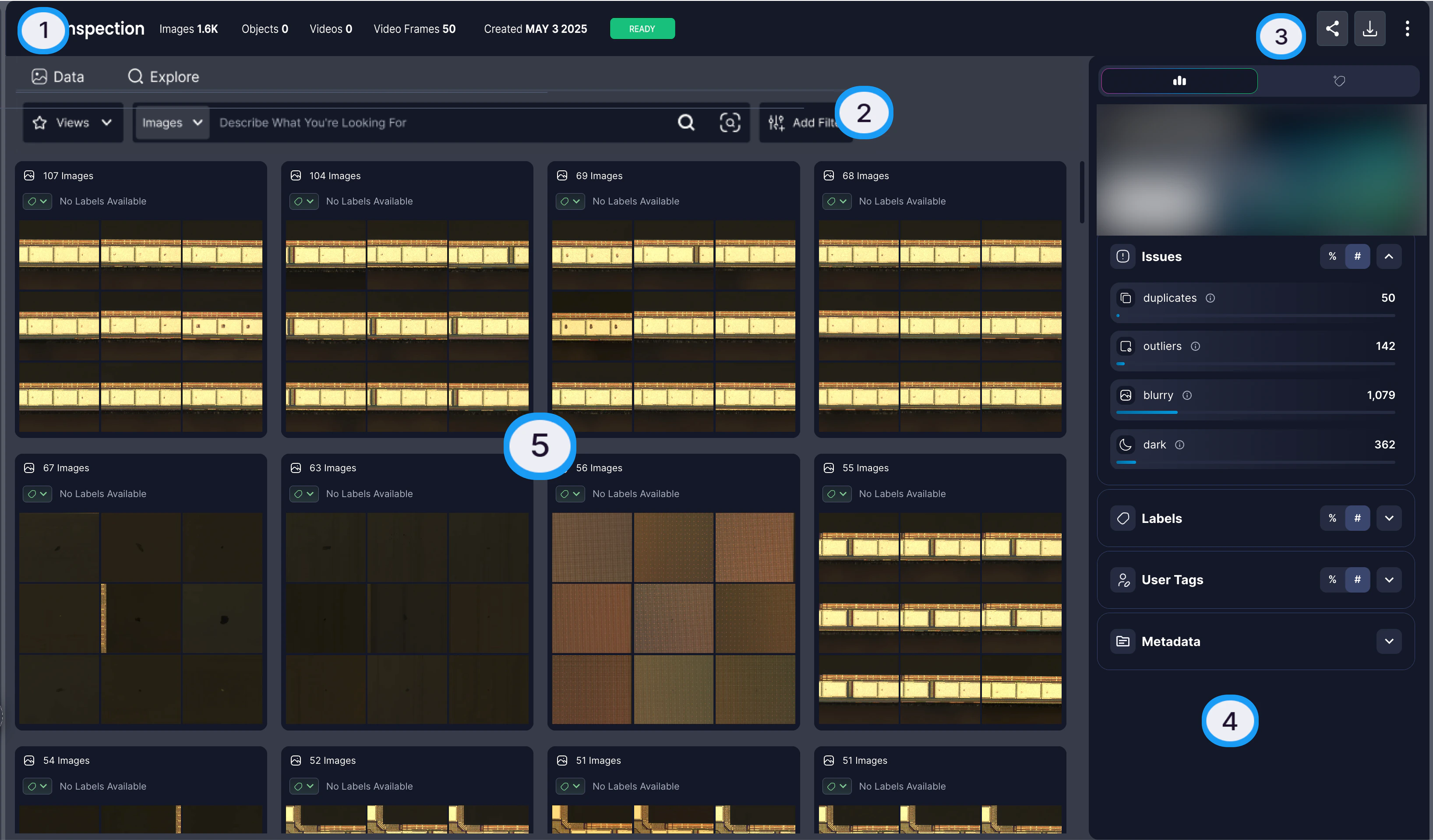 Dataset Exploration View