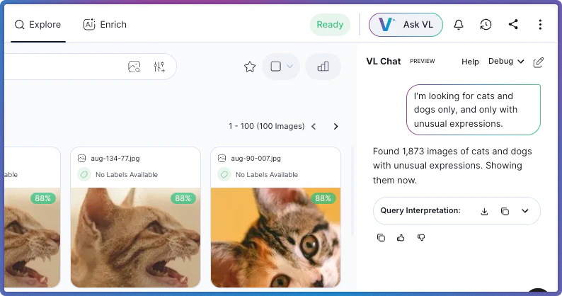 VL Chat finding cats and dogs with unusual expressions