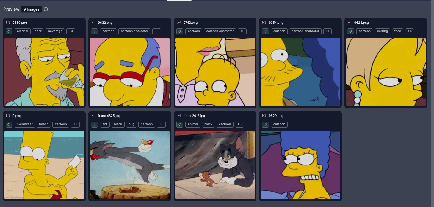 Dataset Preview