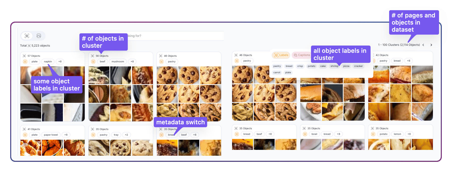 Clusters view in Objects mode with annotated total object count, cluster-level object count, some and all object labels in cluster, and the metadata switch