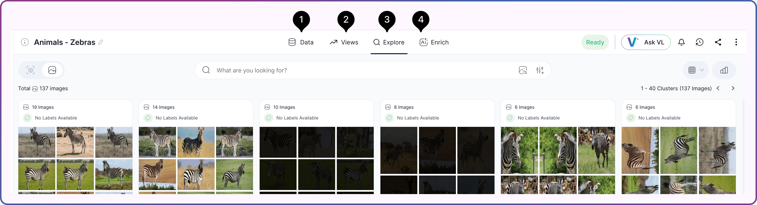 Dataset workspace tab bar showing the Data, Views, Explore, and Enrich tabs