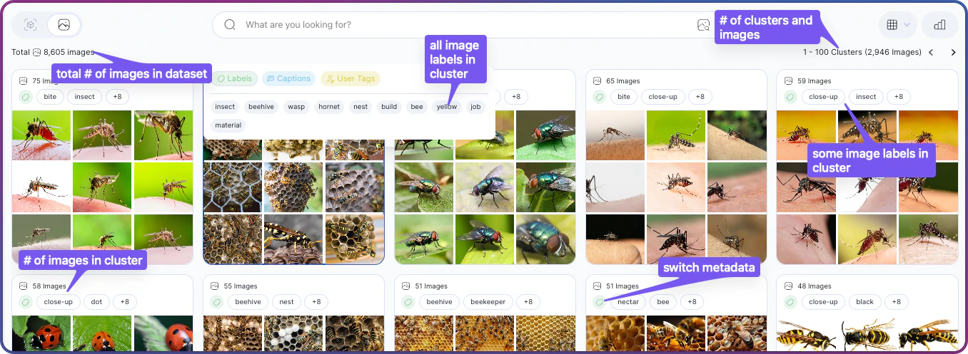 Clusters view in Images mode with annotated total image count, cluster-level image count, some and all image labels in cluster, and the metadata switch