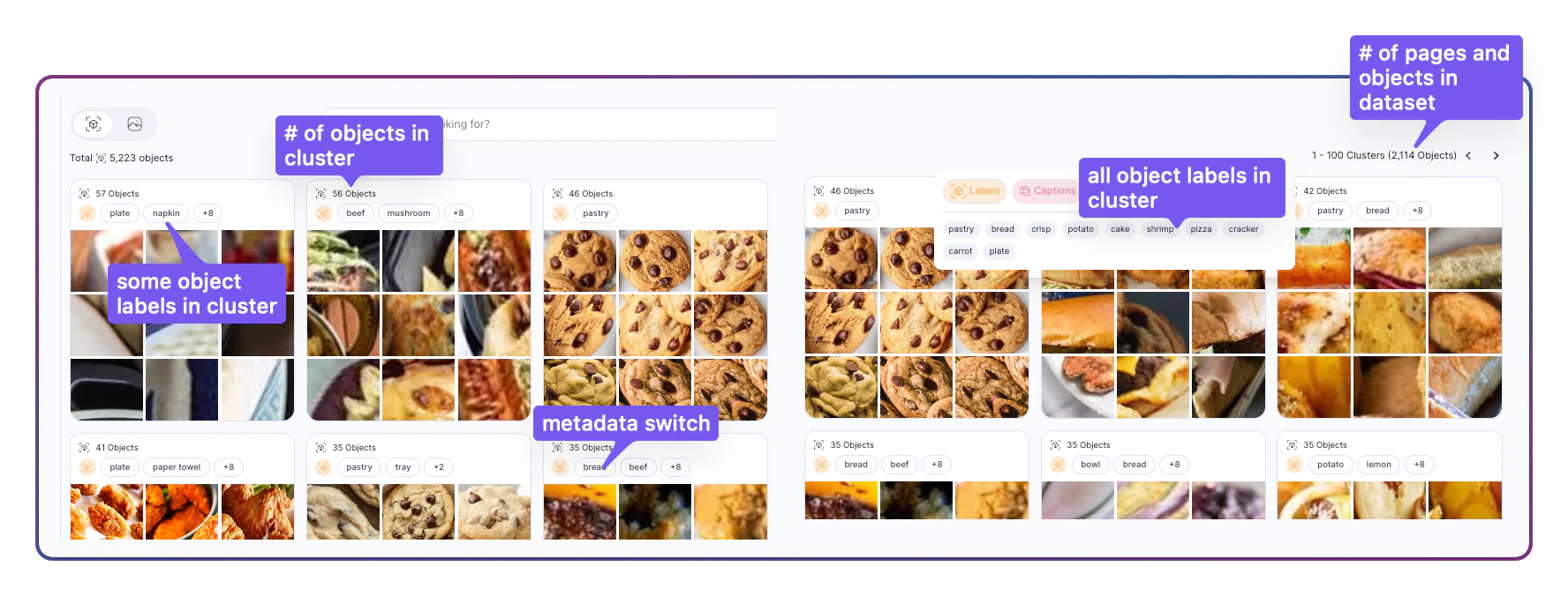 Clusters view in Objects mode with annotated total object count, cluster-level object count, some and all object labels in cluster, and the metadata switch