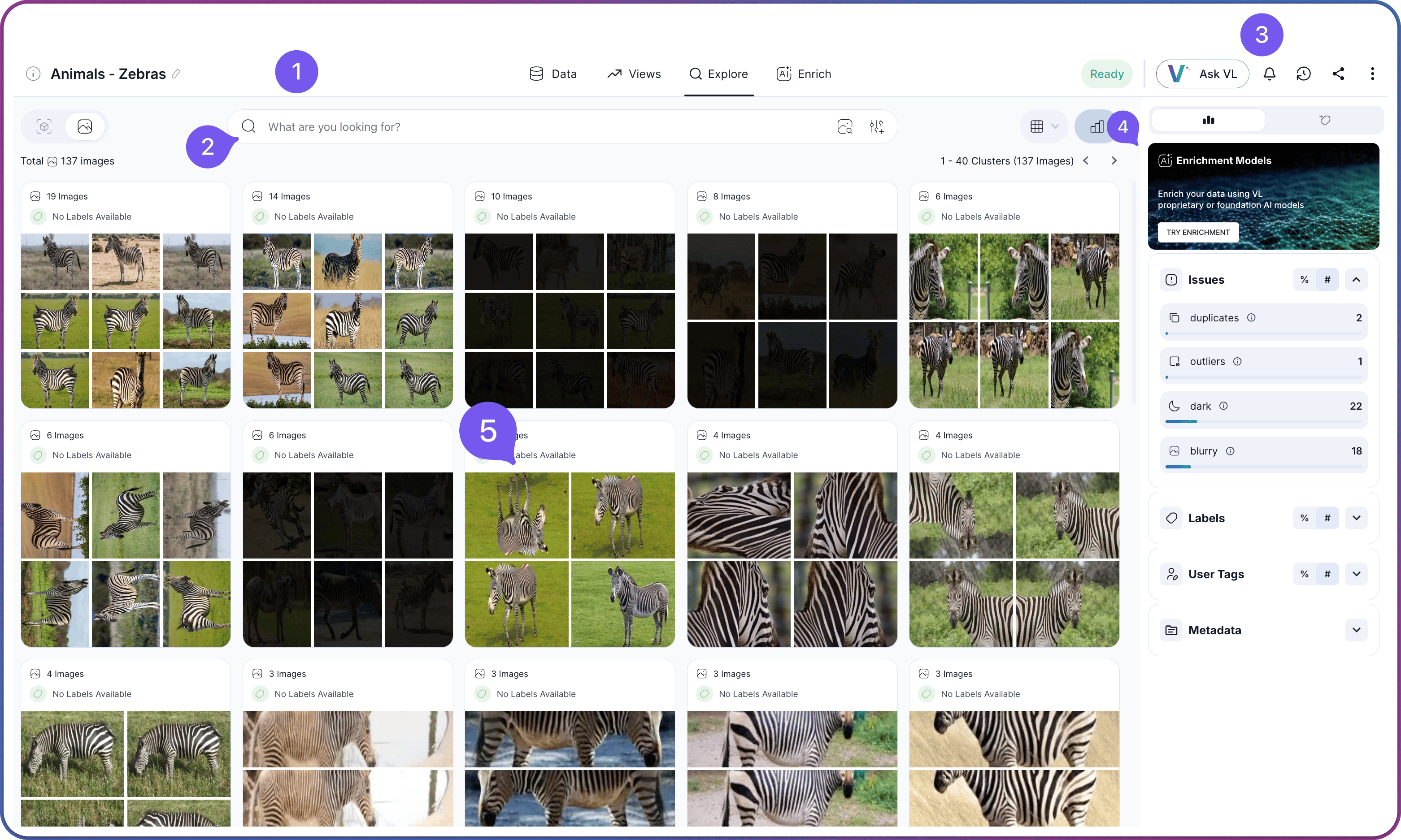 Explore tab of the dataset workspace