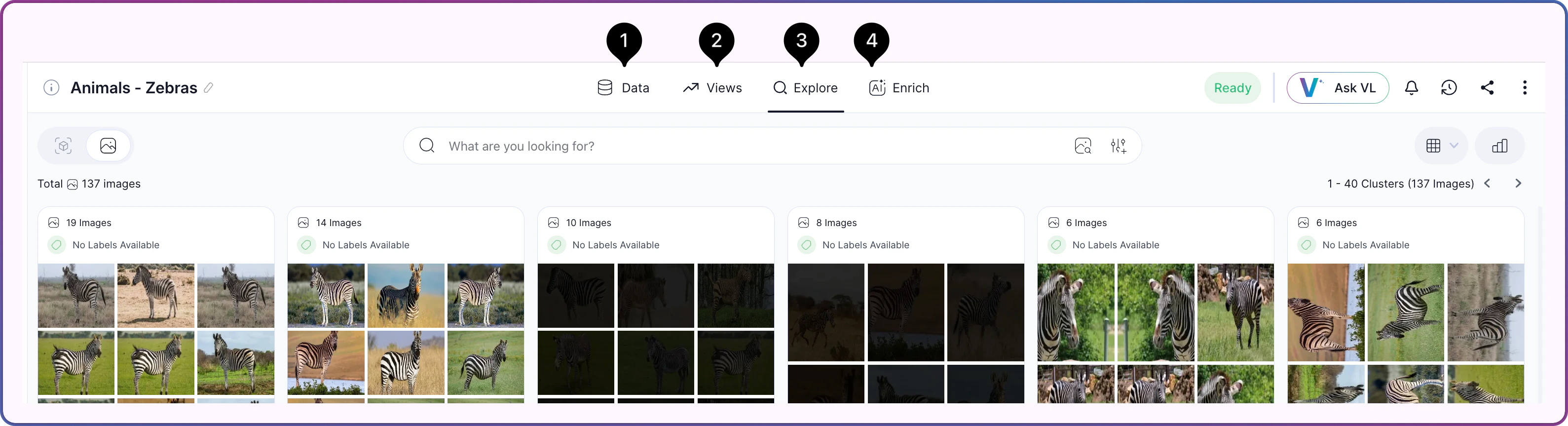 Dataset workspace tab bar showing the Data, Views, Explore, and Enrich tabs