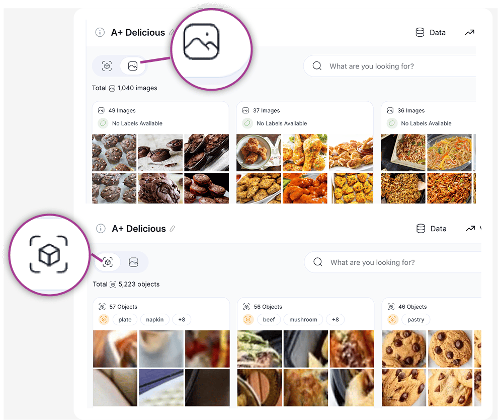 Search Type Toggle switching a dataset between Images search and Objects search