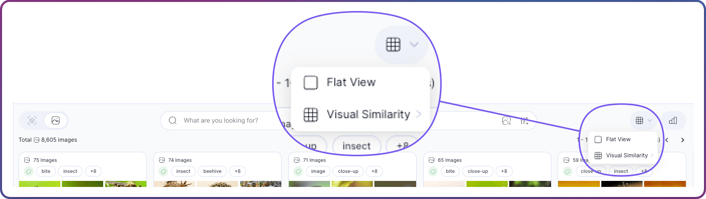 Layout Toggle dropdown showing Flat View and Visual Similarity options
