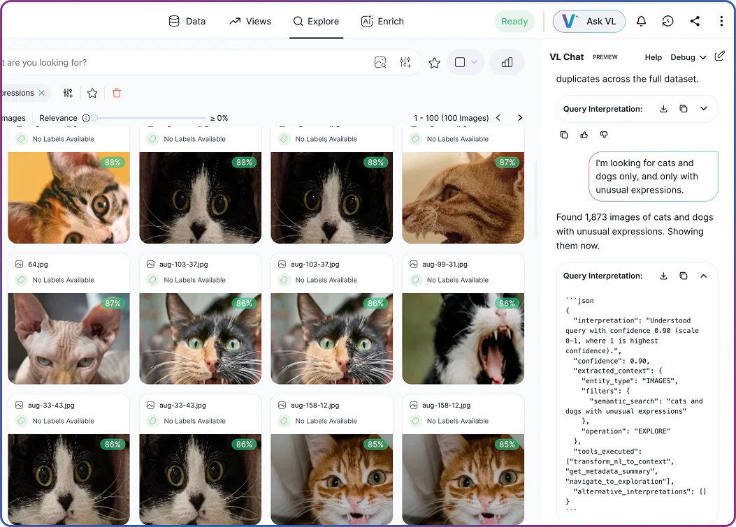 VL Chat finding cats and dogs with unusual expressions
