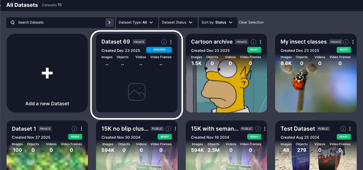 Empty Dataset During Indexing