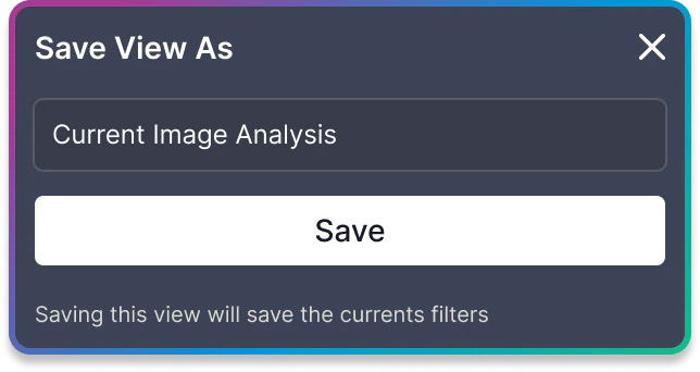 Save View dialog with name input field