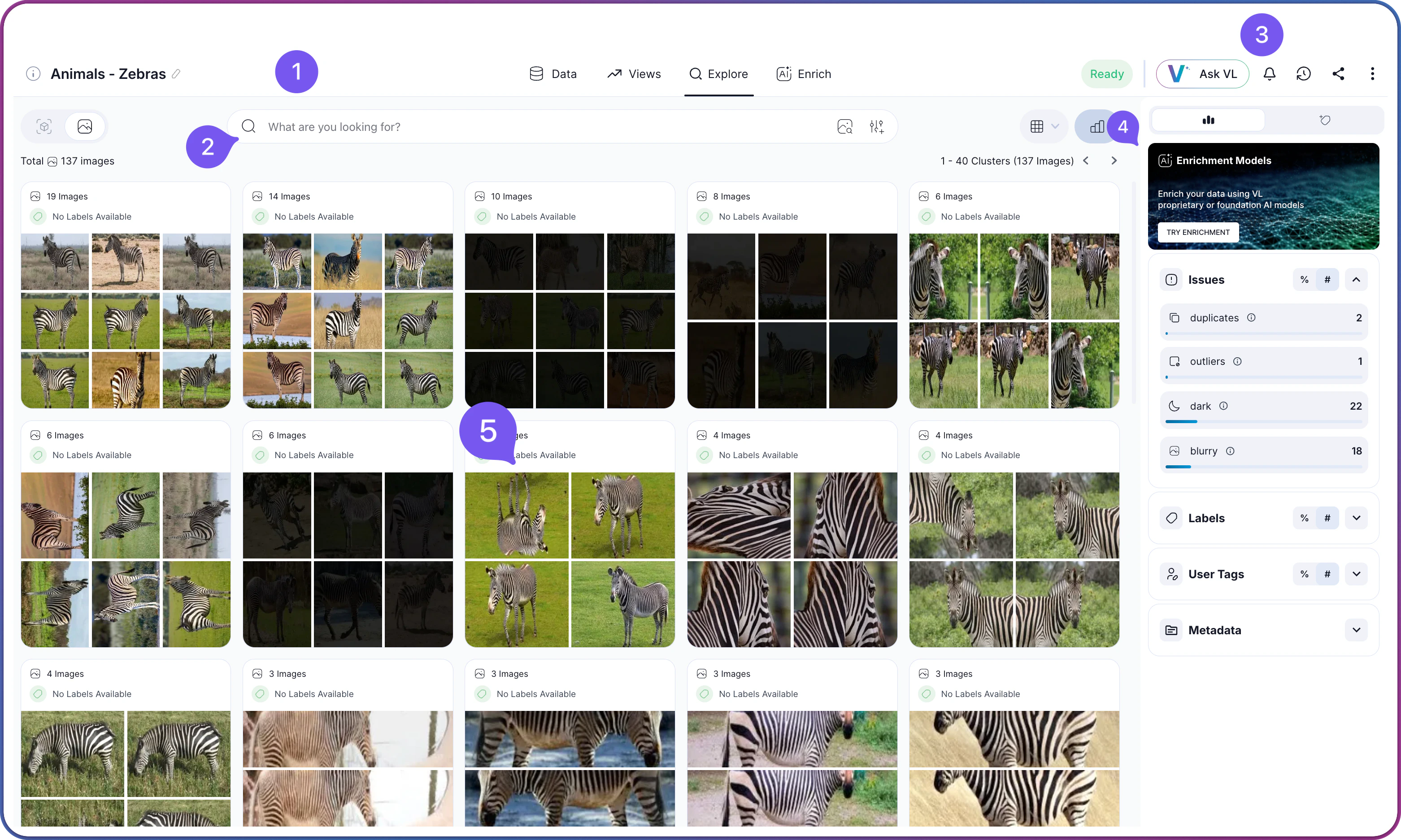 Dataset Exploration View