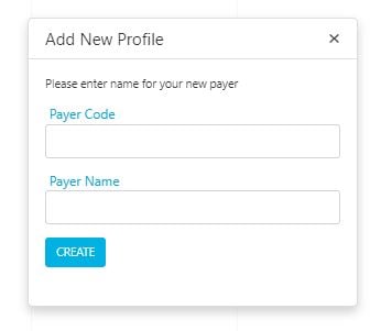 Add payer form