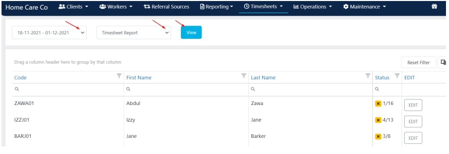 Timesheet report with date range and report type selection