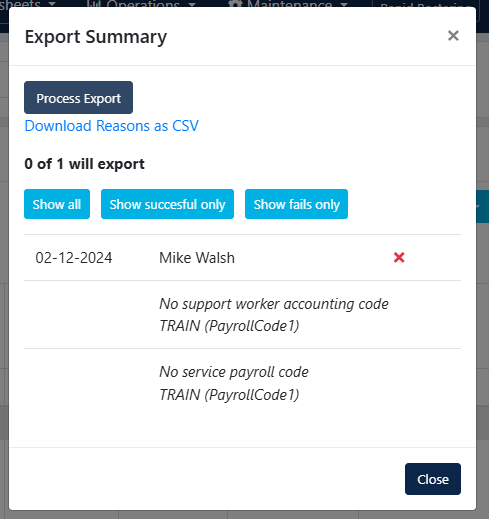 Payroll export summary errors