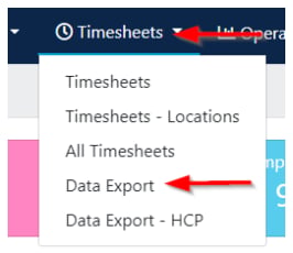 Data export page in VCore showing the timesheets tab
