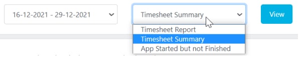 Timesheet report and summary options