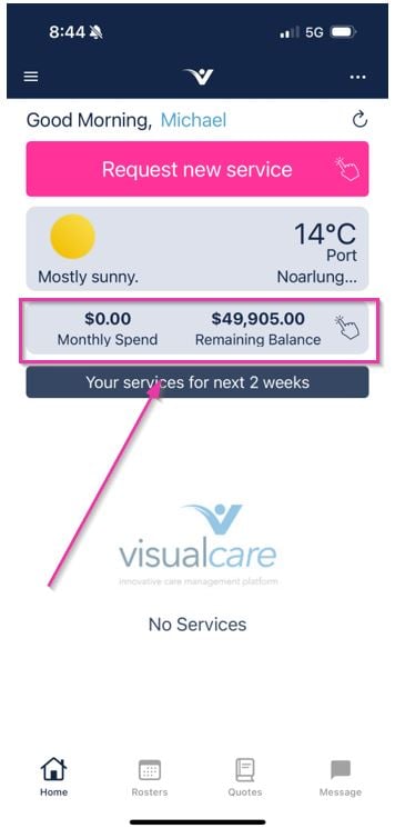 Budget overview screen