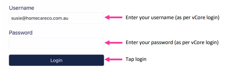 vGo login screen