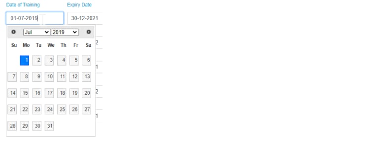 Date picker example