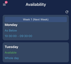 Availability calendar view