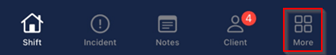 More button showing additional features