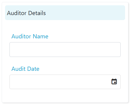 Auditor details section