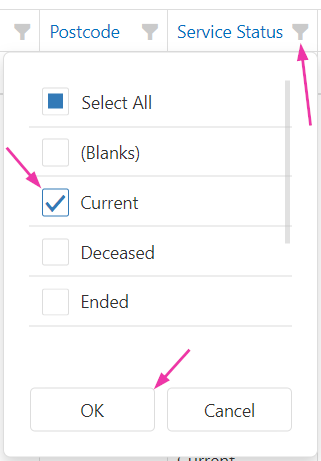 Column filter options