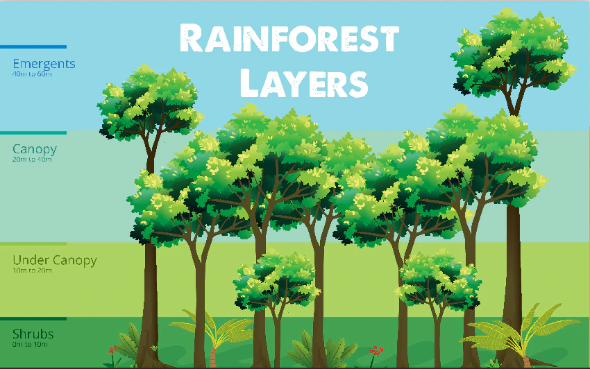 Sphere Check priority, trunk size, and viability size settings.