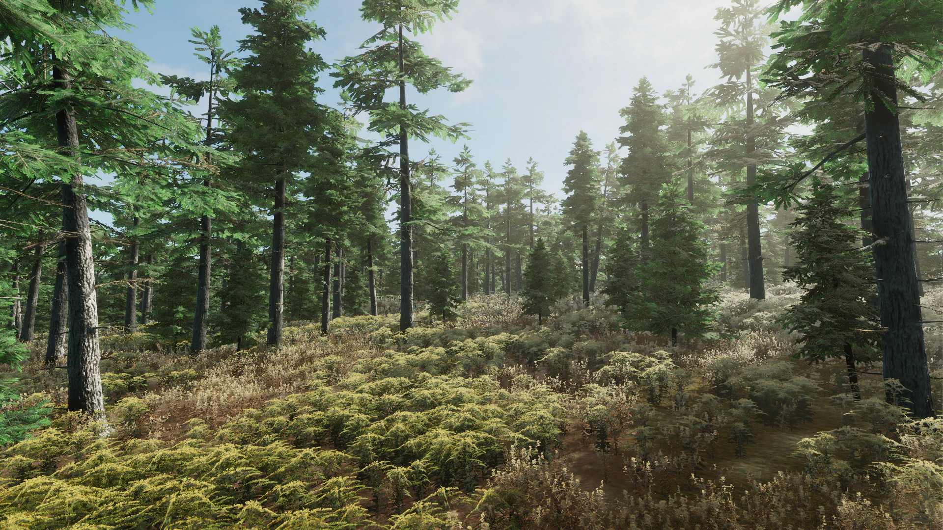 Advanced Brush resource type selection.