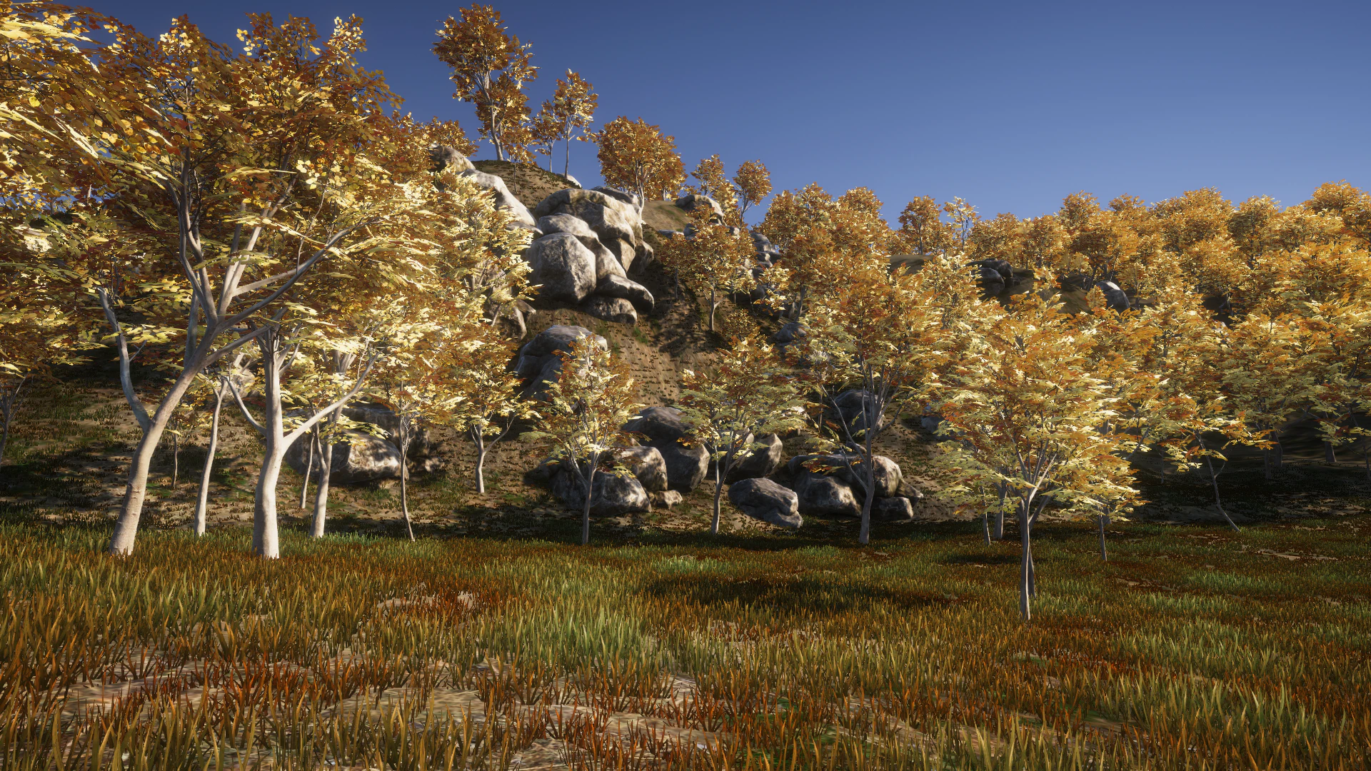 Tree placement result created with Transform Components.