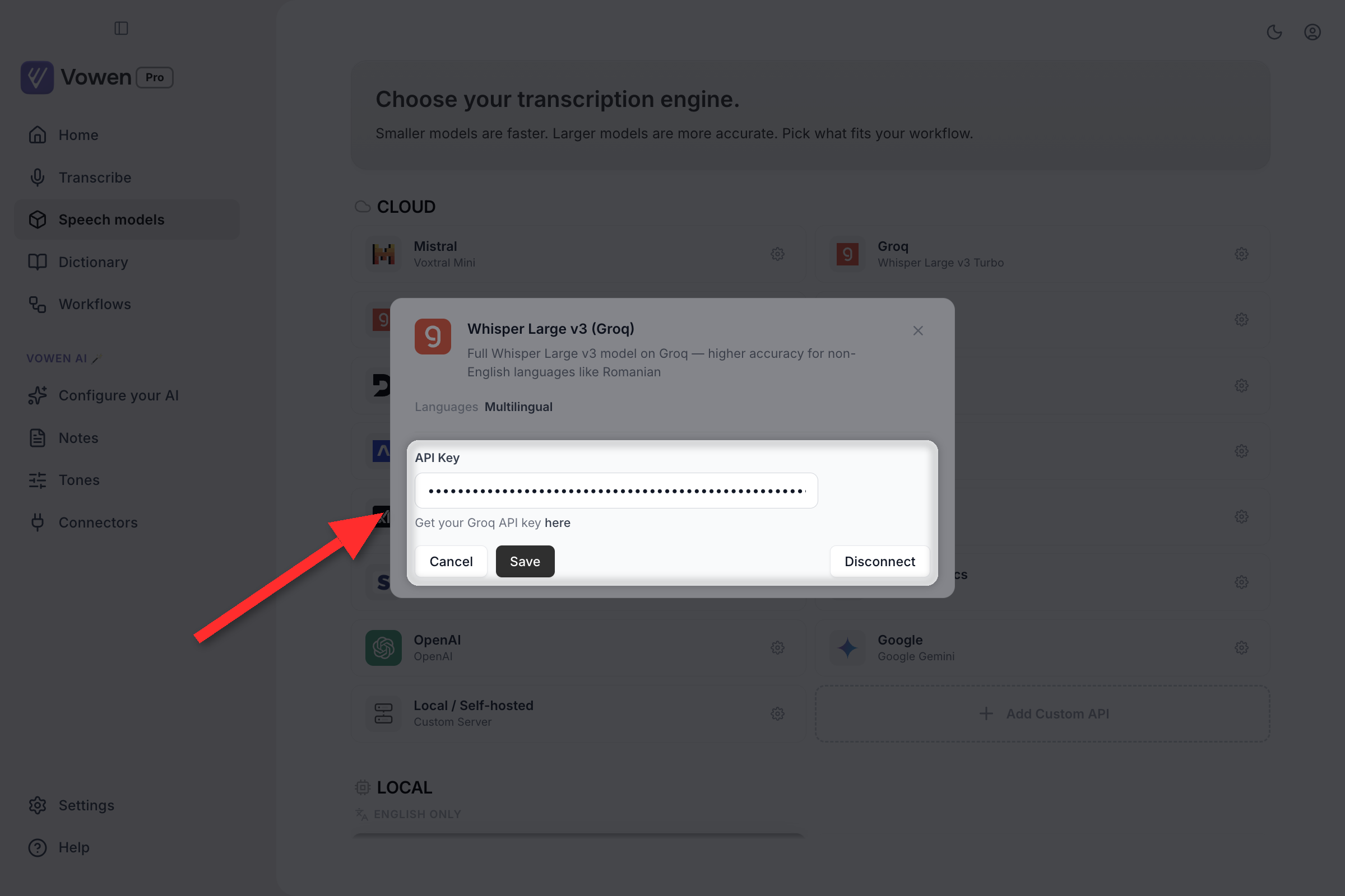 The Speech models page with a provider's configuration panel open inline, showing an API Key field with Cancel, Save and Disconnect buttons